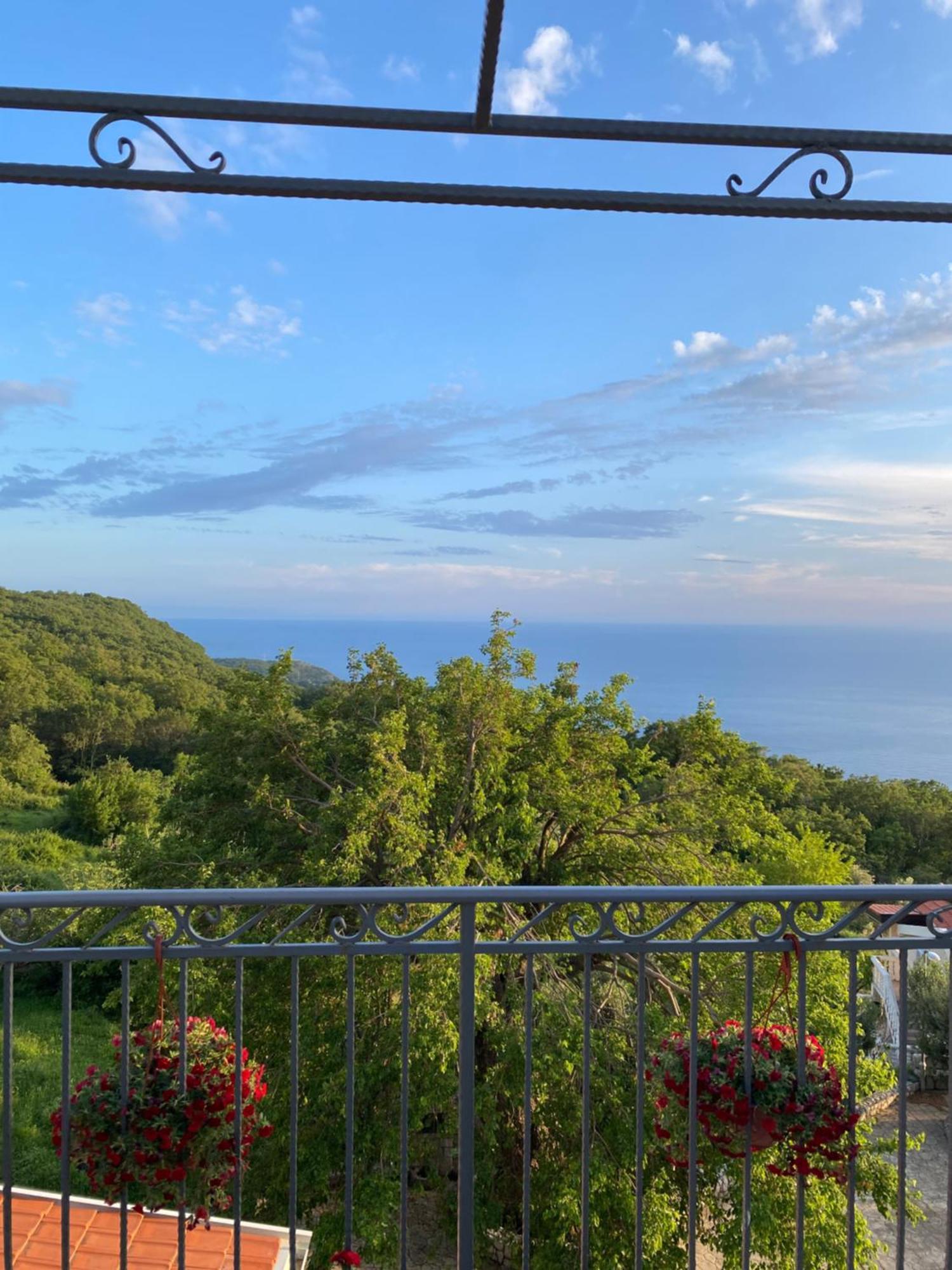 Apartments Bauo Budva Luaran gambar